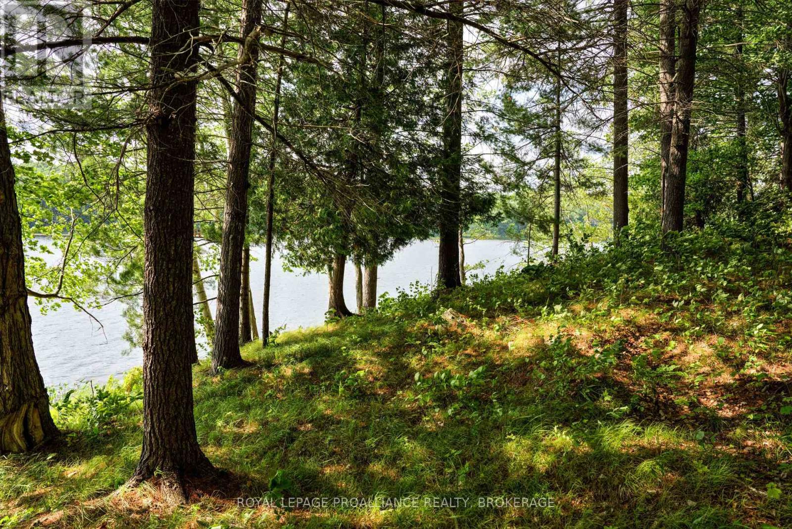 Lots 1, 2, 3 Kismet Lane, Frontenac, Ontario  K0H 2L0 - Photo 18 - X12928788