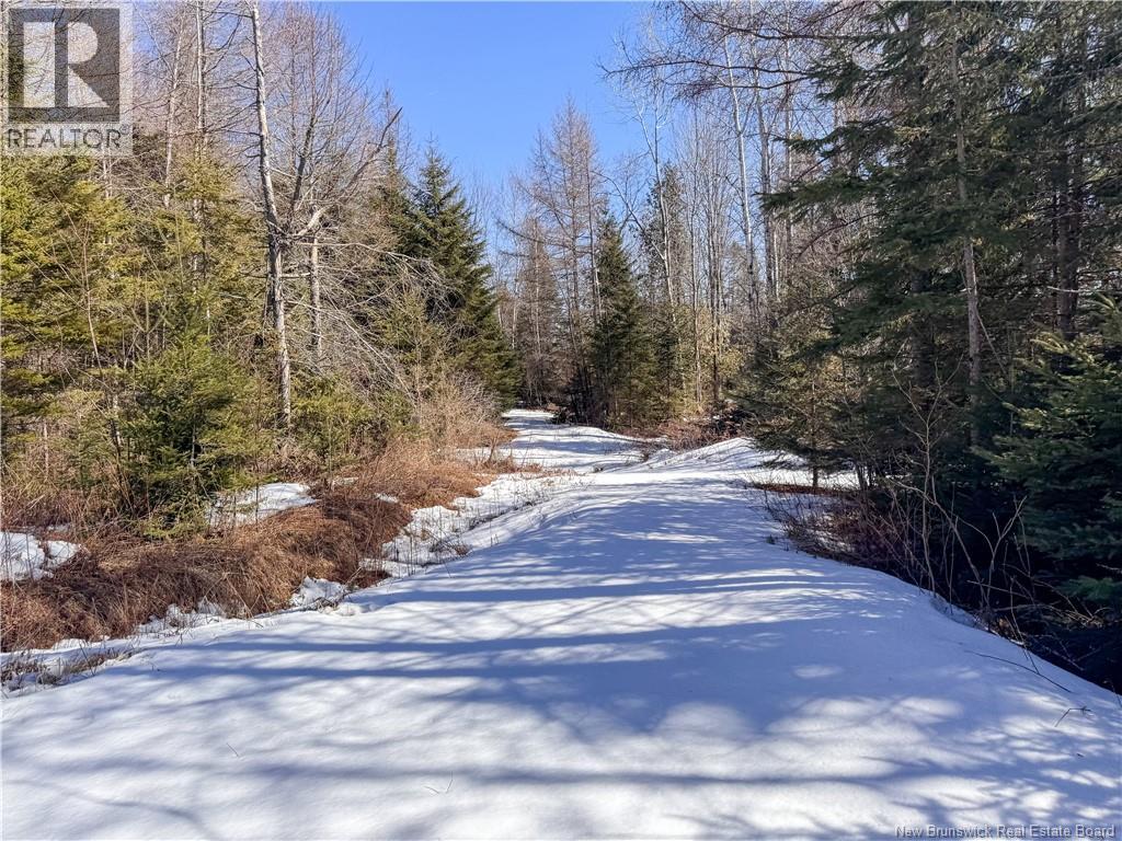 90 Weston Road, Weston, New Brunswick  E7K 1A2 - Photo 38 - NB131315