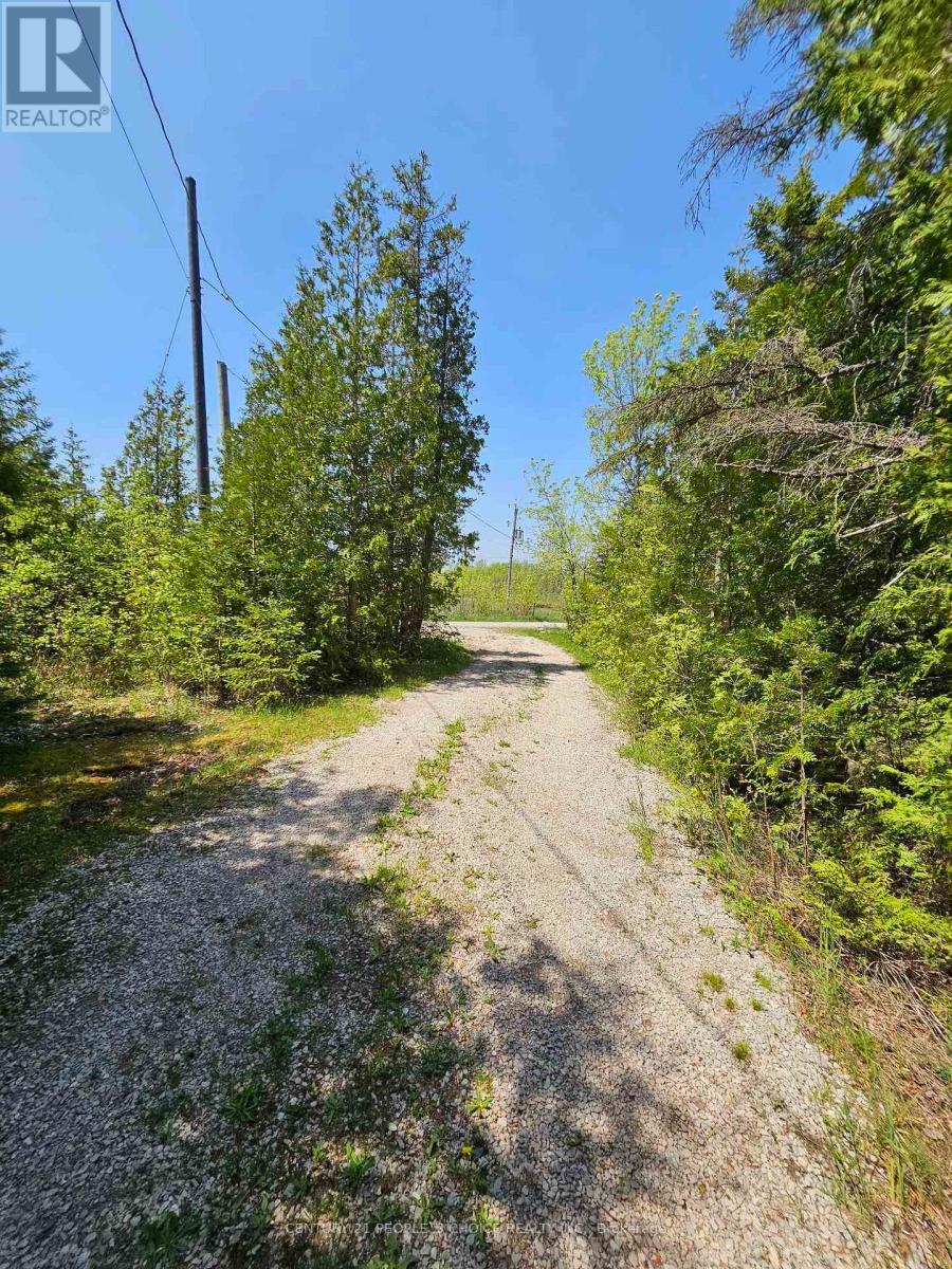 123 Waterview Lane, Assiginack, Ontario  P0P 1N0 - Photo 17 - X12928784