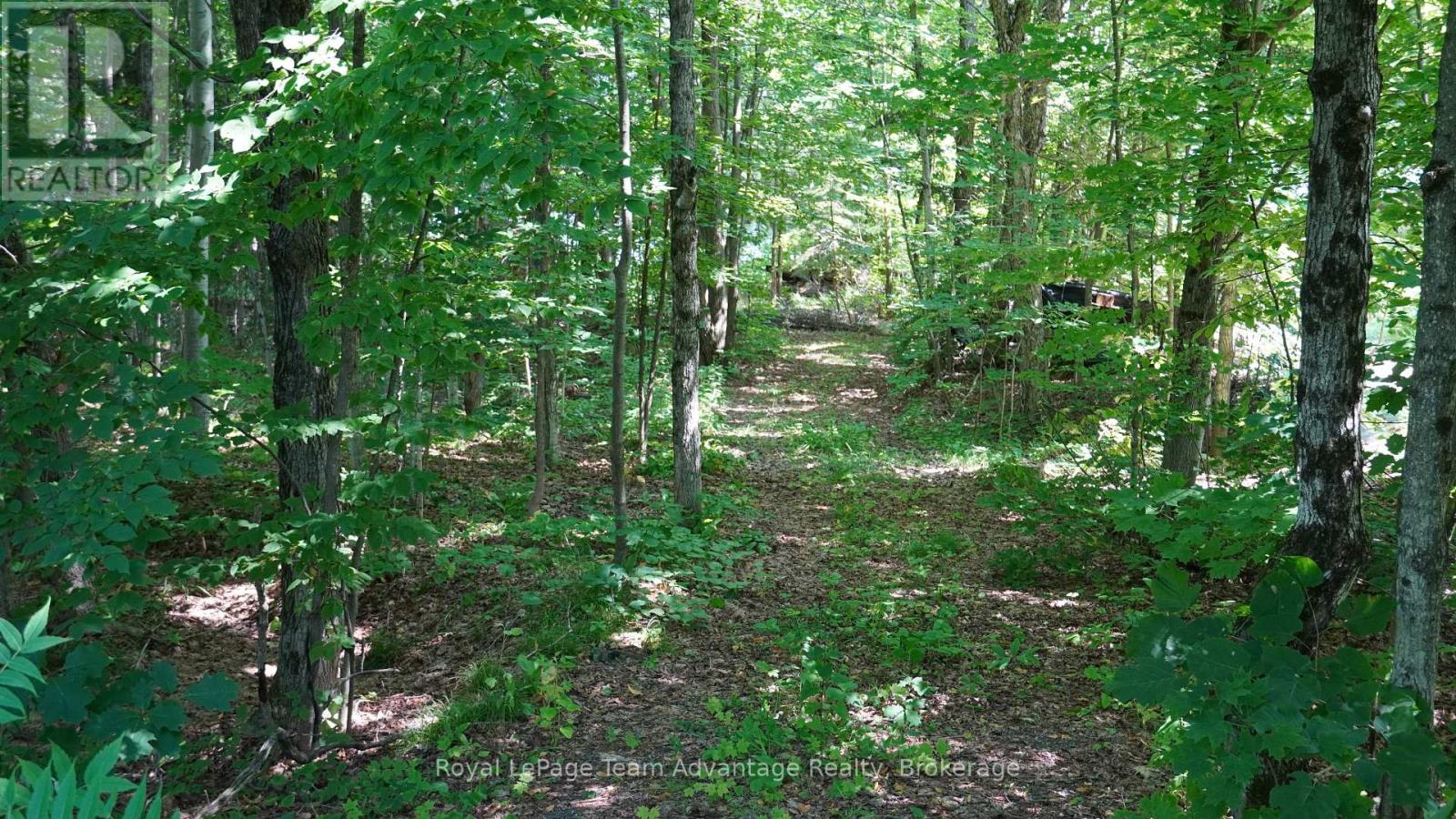 25 Peninsula Shore Road E, Mcdougall, Ontario  P2A 2W9 - Photo 5 - X12928482