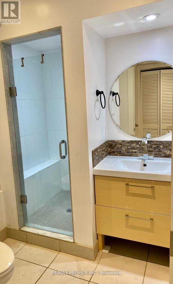 Lower - 325 Willard Avenue, Toronto, Ontario  M6S 3R1 - Photo 3 - W12930268