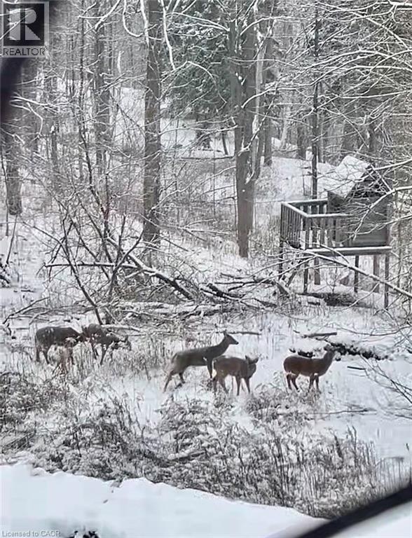 1987 Snake Road, Burlington, Ontario  L7P 4Y1 - Photo 50 - 40815713