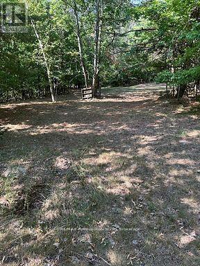 2875 County Road 21 Road, Minden Hills, Ontario  K0M 2K0 - Photo 14 - X12930394