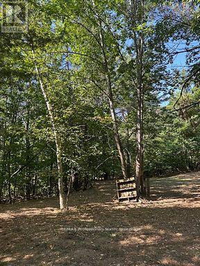 2875 County Road 21 Road, Minden Hills, Ontario  K0M 2K0 - Photo 15 - X12930394