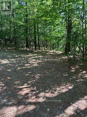 2875 County Road 21 Road, Minden Hills, Ontario  K0M 2K0 - Photo 19 - X12930394