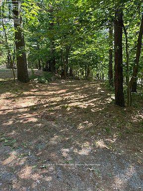 2875 County Road 21 Road, Minden Hills, Ontario  K0M 2K0 - Photo 21 - X12930394