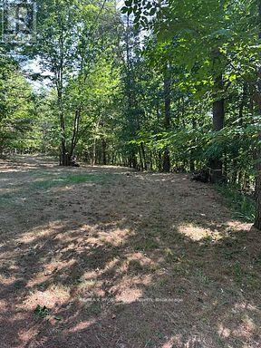 2875 County Road 21 Road, Minden Hills, Ontario  K0M 2K0 - Photo 5 - X12930394