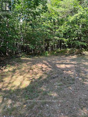 2875 County Road 21 Road, Minden Hills, Ontario  K0M 2K0 - Photo 9 - X12930394