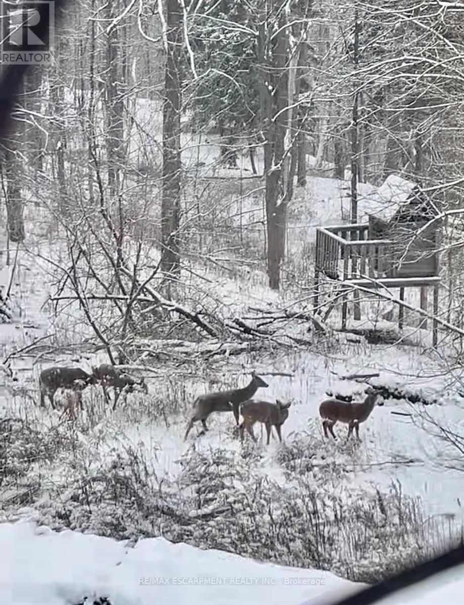 1987 Snake Road, Burlington, Ontario  L7P 4Y1 - Photo 50 - W12929810