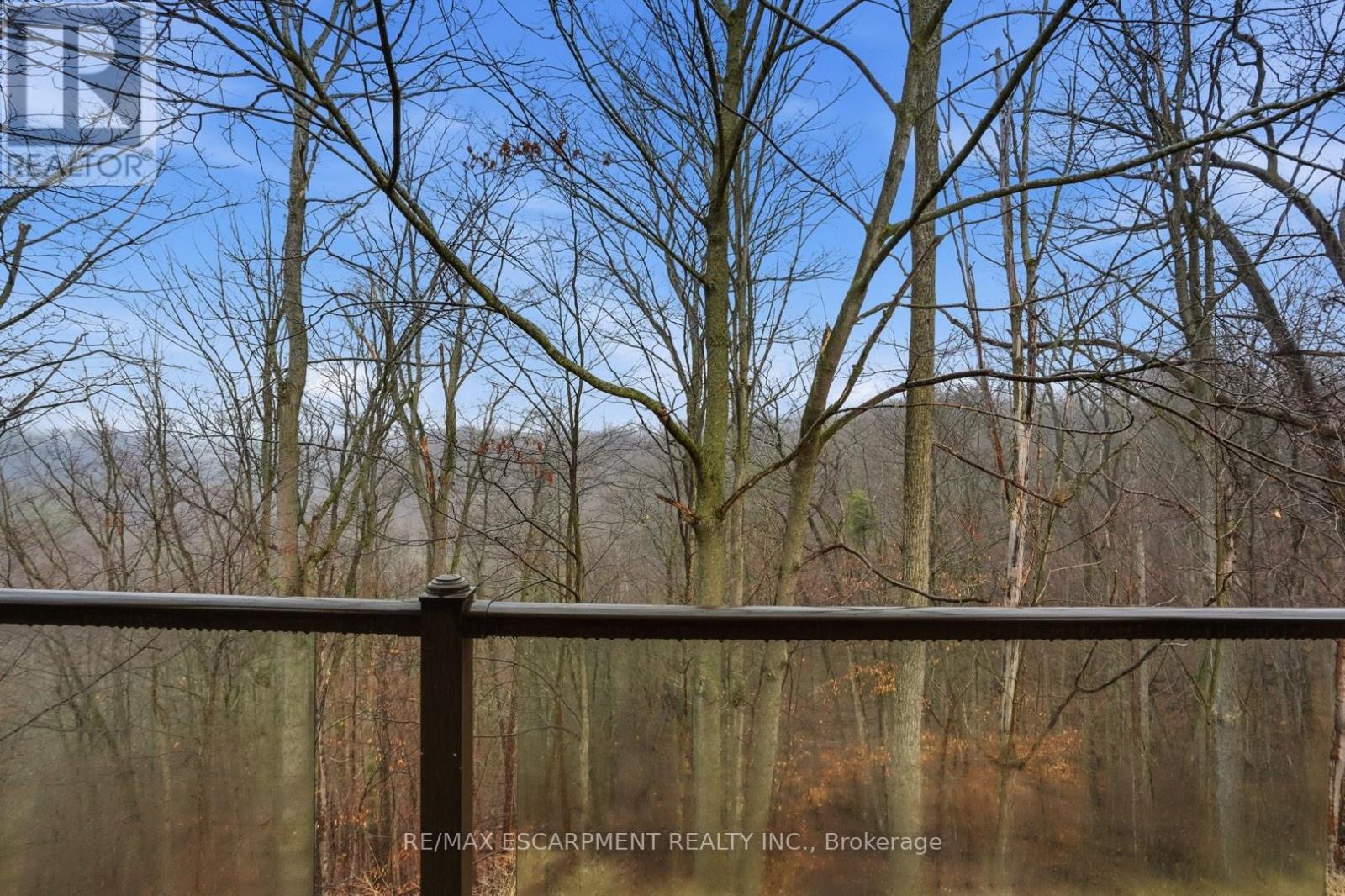 1987 Snake Road, Burlington, Ontario  L7P 4Y1 - Photo 48 - W12929810