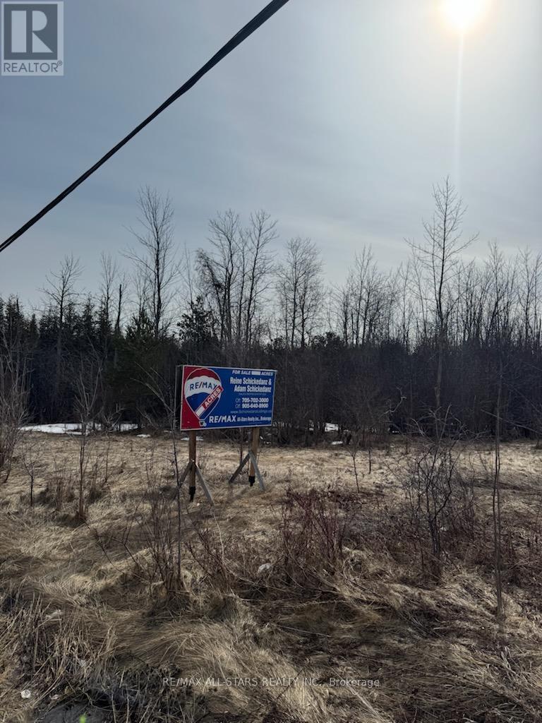 N/a Baseline Road, Georgina, Ontario  L4P 3E9 - Photo 4 - N12930468