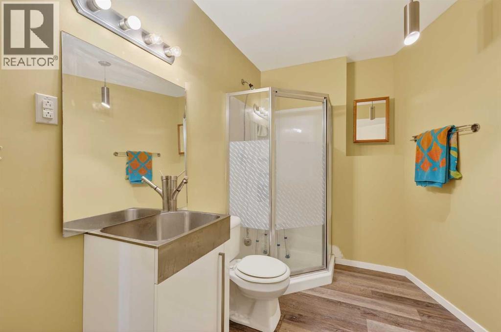 1175 Strathcona Road, Strathmore, Alberta  T1P 1T3 - Photo 35 - A2293789