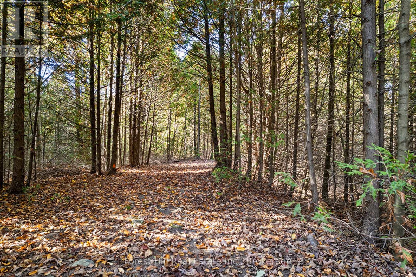 240 Lookout Drive, West Grey, Ontario  N0C 1H0 - Photo 45 - X12930556