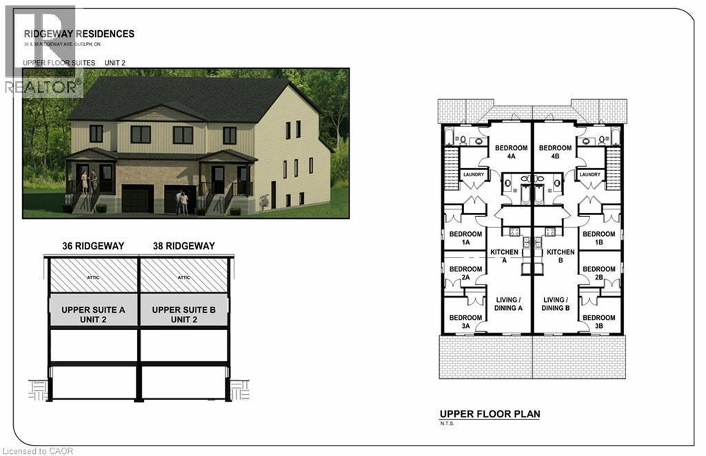 36 Ridgeway Avenue, Guelph, Ontario  N1L 1G8 - Photo 2 - 40815046