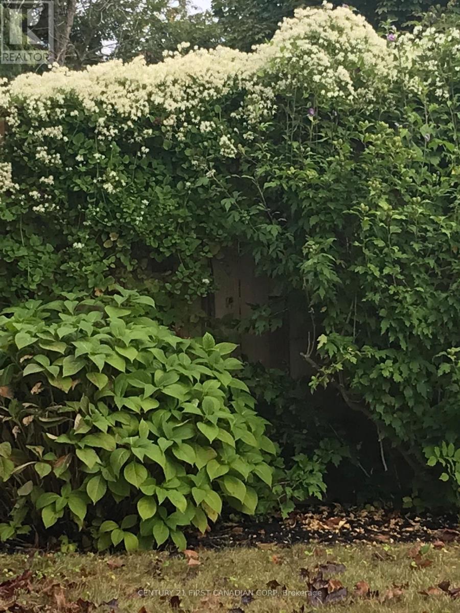 1080 Viscount Road, London South, Ontario  N6K 1H8 - Photo 47 - X12930690