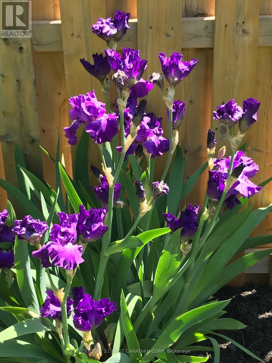 1080 Viscount Road, London South, Ontario  N6K 1H8 - Photo 49 - X12930690