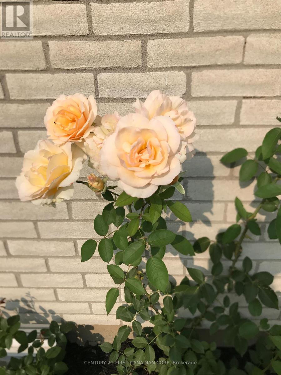 1080 Viscount Road, London South, Ontario  N6K 1H8 - Photo 50 - X12930690