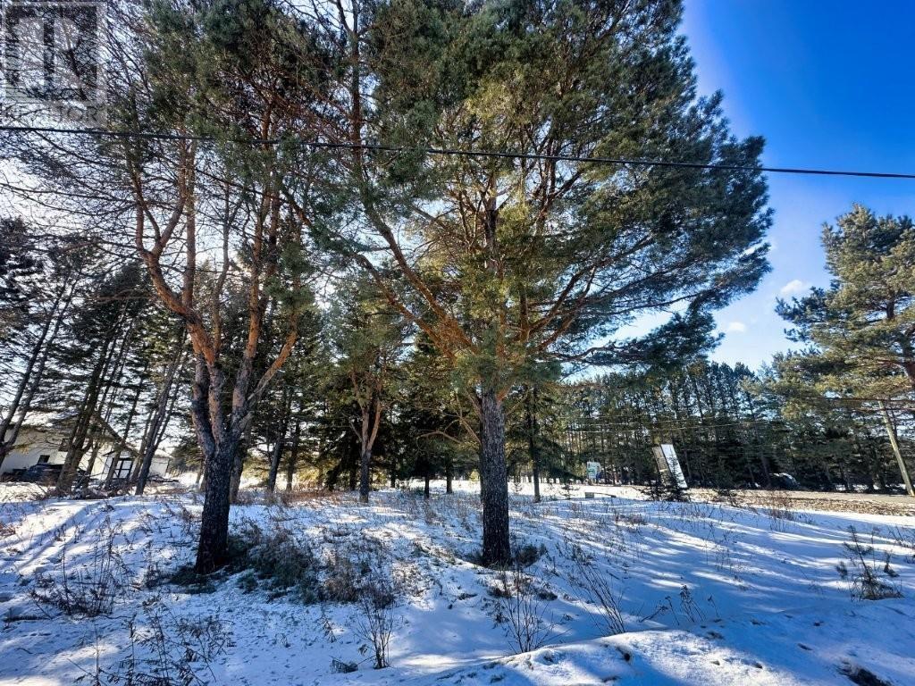 2085 15th Side Road, Thunder Bay, Ontario  P7J 1E2 - Photo 4 - TB2600561