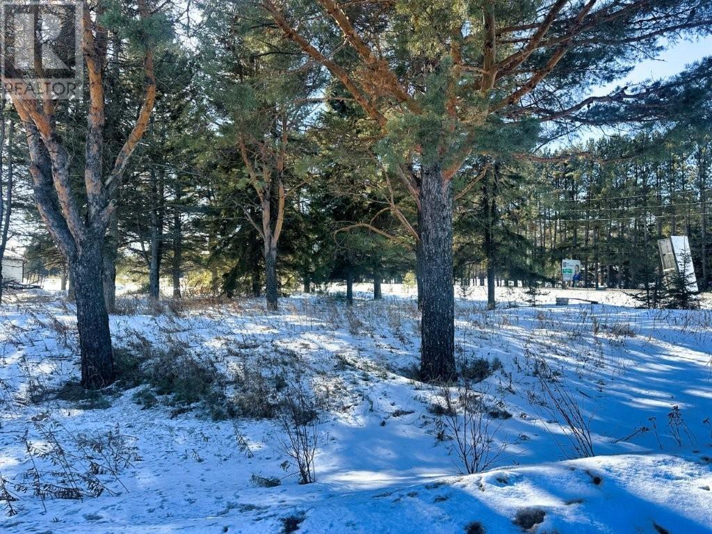 2085 15th Side Road, Thunder Bay, Ontario  P7J 1E2 - Photo 6 - TB2600561