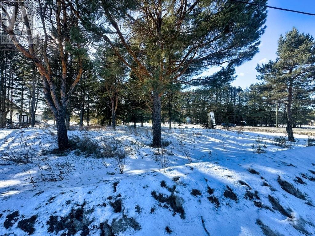 2085 15th Side Road, Thunder Bay, Ontario  P7J 1E2 - Photo 7 - TB2600561