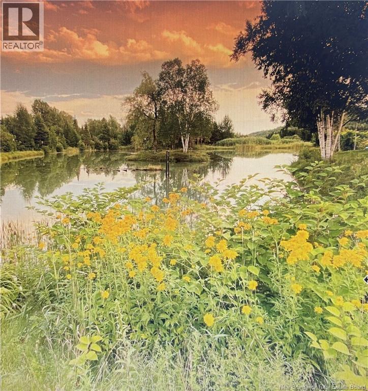 1359 Route 110, Royalton, New Brunswick  E7K 2C8 - Photo 31 - NB135765