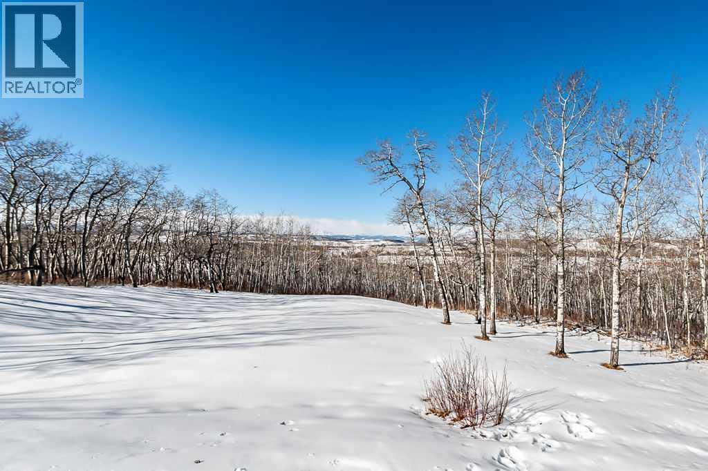 322253 112 Street W, Rural Foothills County, Alberta  T1S 5H9 - Photo 26 - A2289659