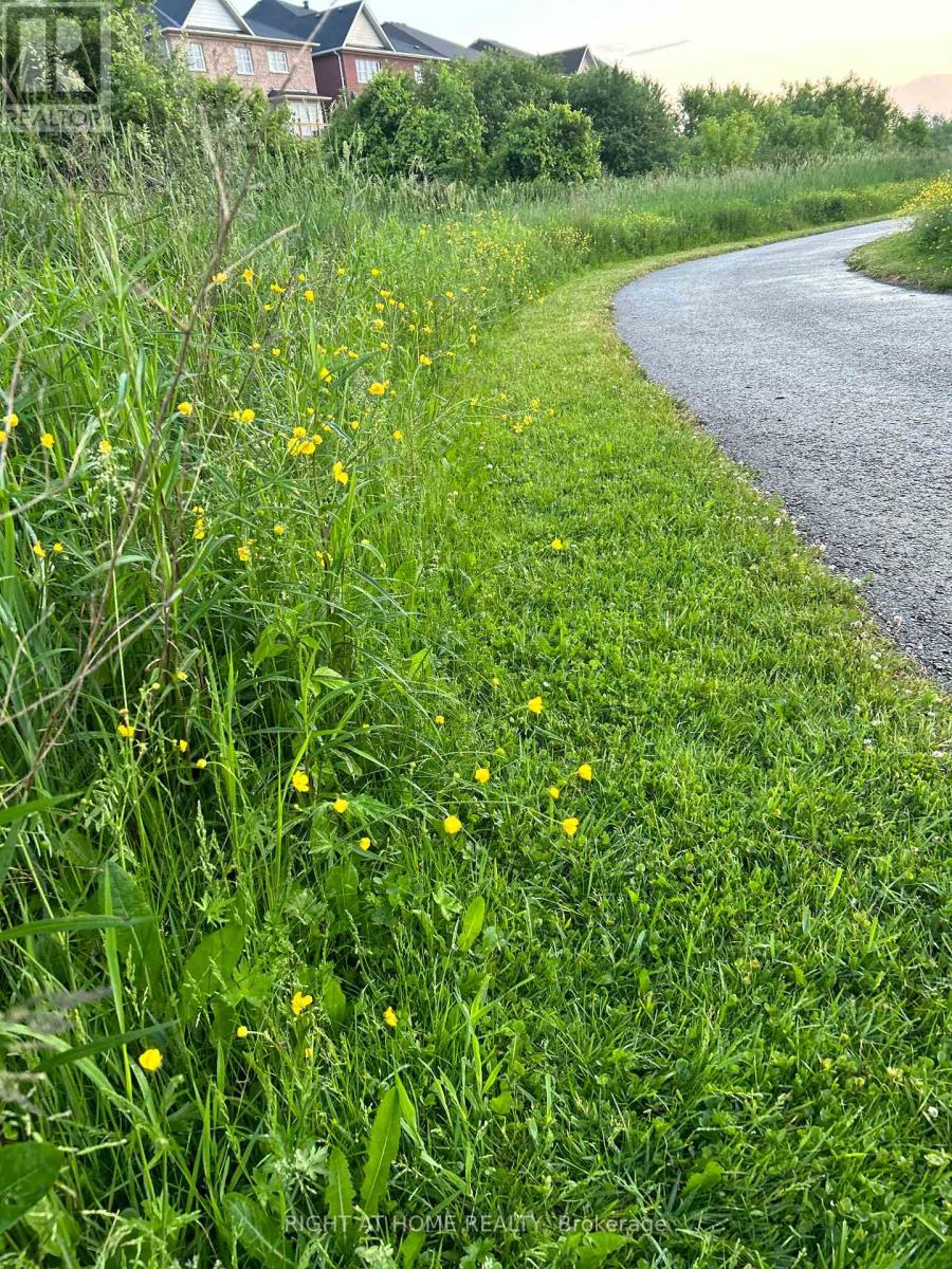 Unknown Address, ,     - Photo 30 - N12663498