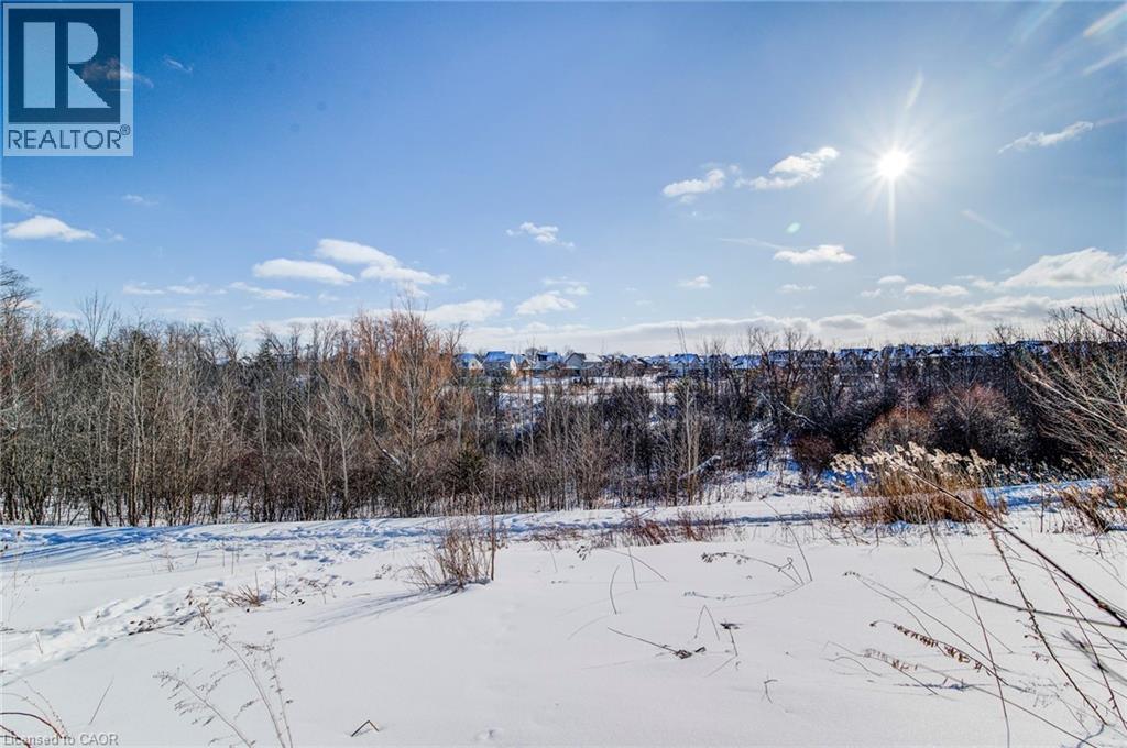 55 Upper Mercer Street, Kitchener, Ontario  N2A 4M9 - Photo 37 - 40804509