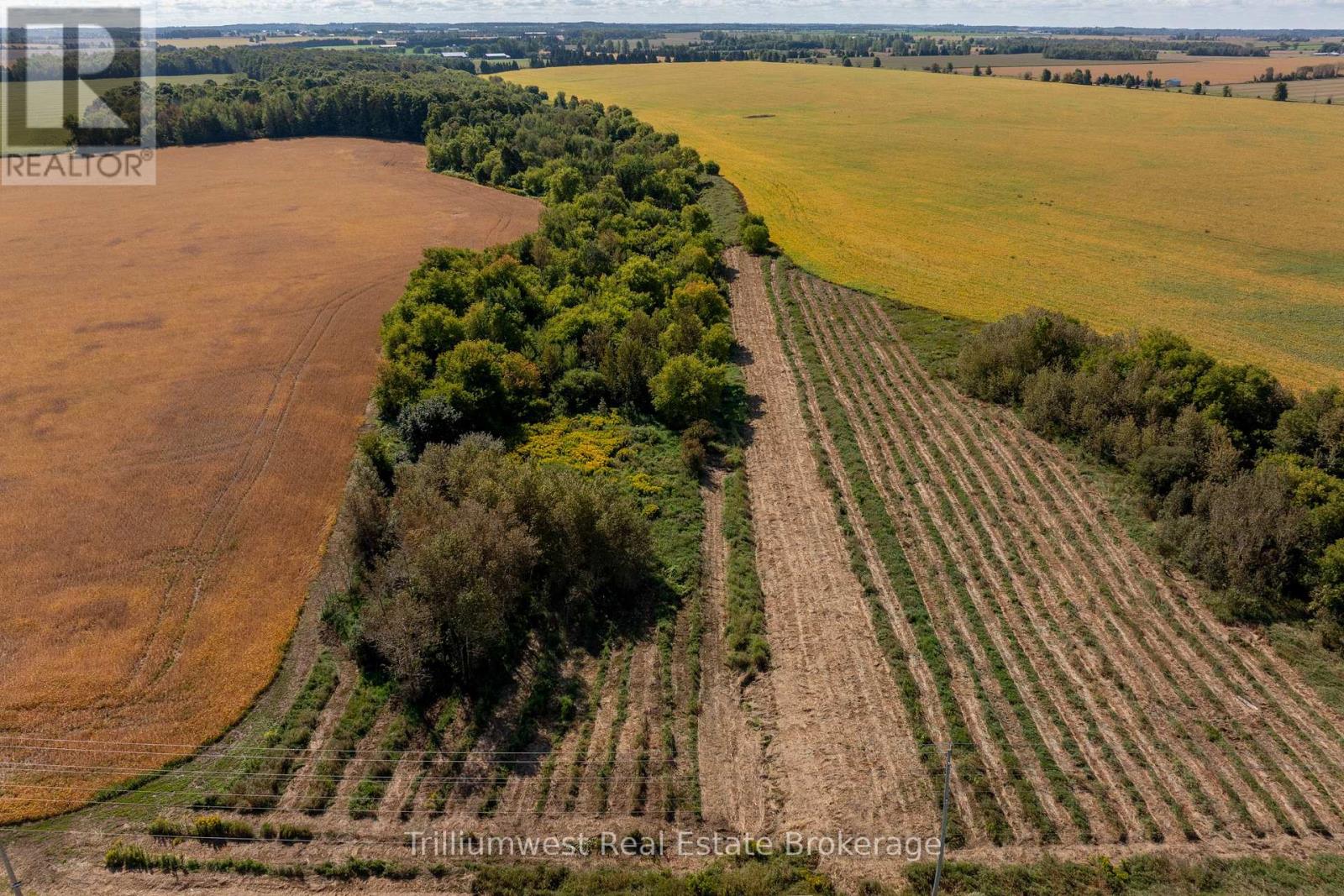 201340 Dufferin Road 109 Road, East Garafraxa, Ontario L9W 7A9 - Photo 30 - X12931086