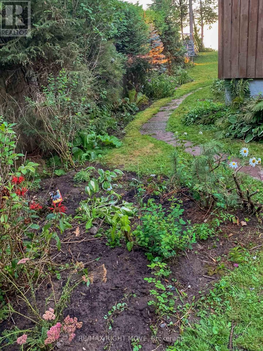 2674 Lone Birch Trail, Ramara, Ontario  L0K 1B0 - Photo 5 - S12931096