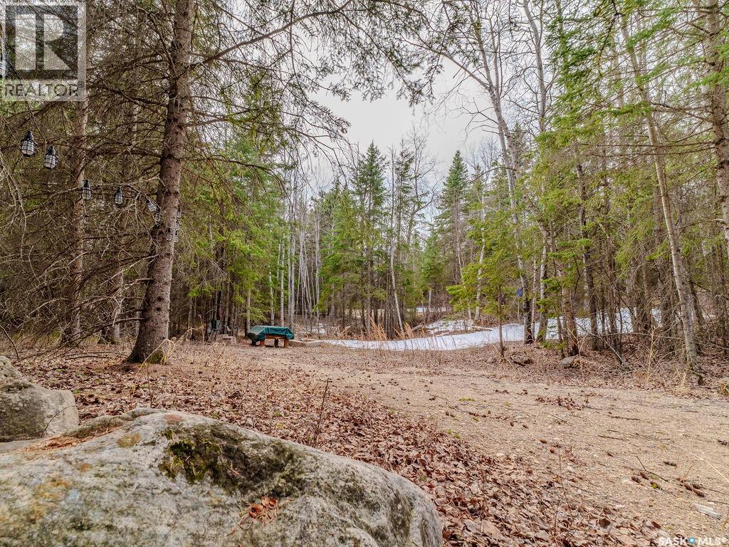 209 Poplar Crescent, Paddockwood Rm No. 520, Saskatchewan  S0J 1Z0 - Photo 5 - SK031490