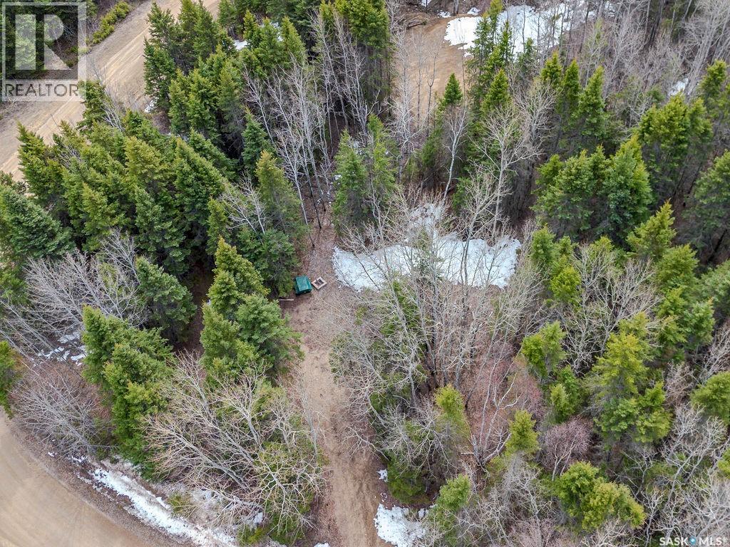 209 Poplar Crescent, Paddockwood Rm No. 520, Saskatchewan  S0J 1Z0 - Photo 6 - SK031490