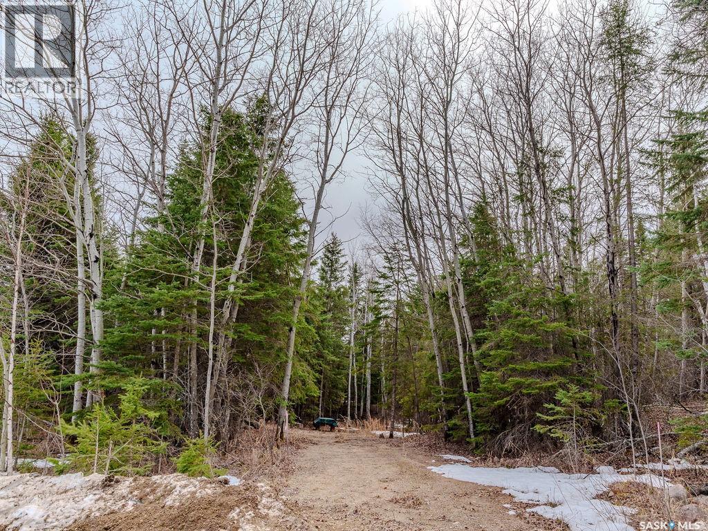 209 Poplar Crescent, Paddockwood Rm No. 520, Saskatchewan  S0J 1Z0 - Photo 8 - SK031490