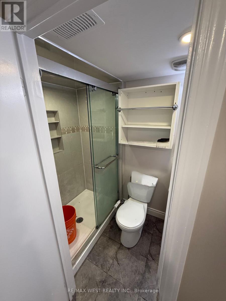 Basement - 6 Byng Avenue, Brampton, Ontario  L6Y 1L1 - Photo 10 - W12832132