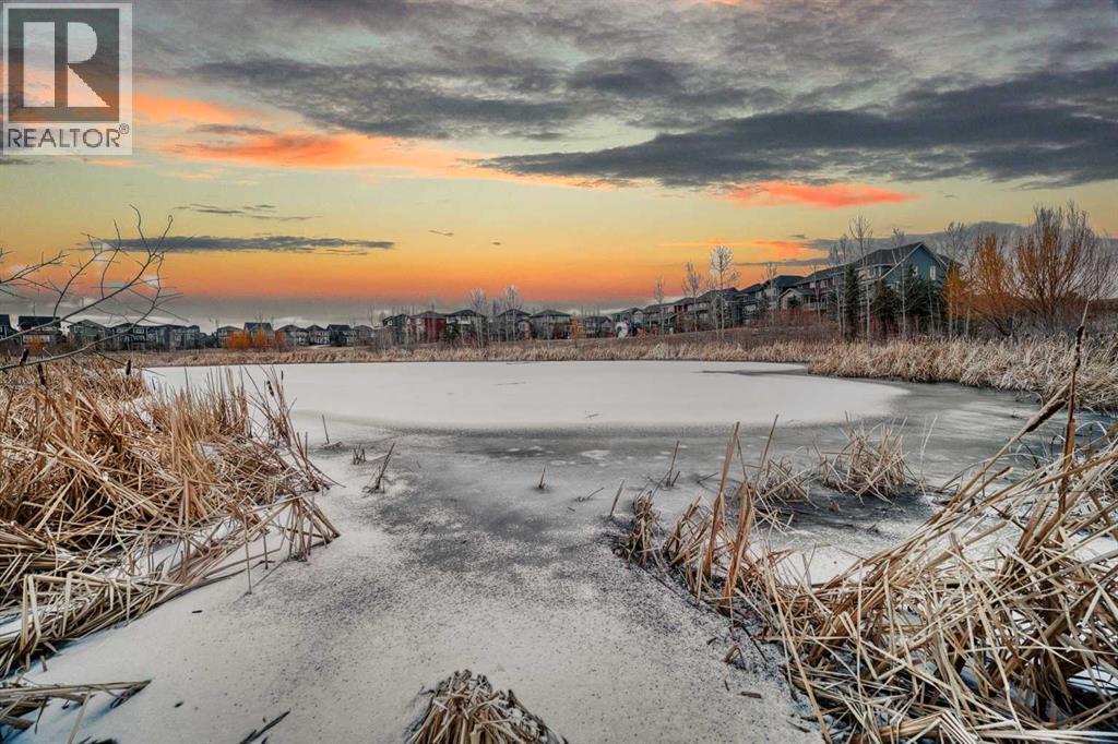 16 Auburn Springs Park Se, Calgary, Alberta T3M 1Y4 - Photo 45 - A2296015