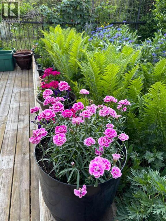 200 Edgemont Estates Drive Nw, Calgary, Alberta  t3a 2m3 - Photo 37 - A2297117