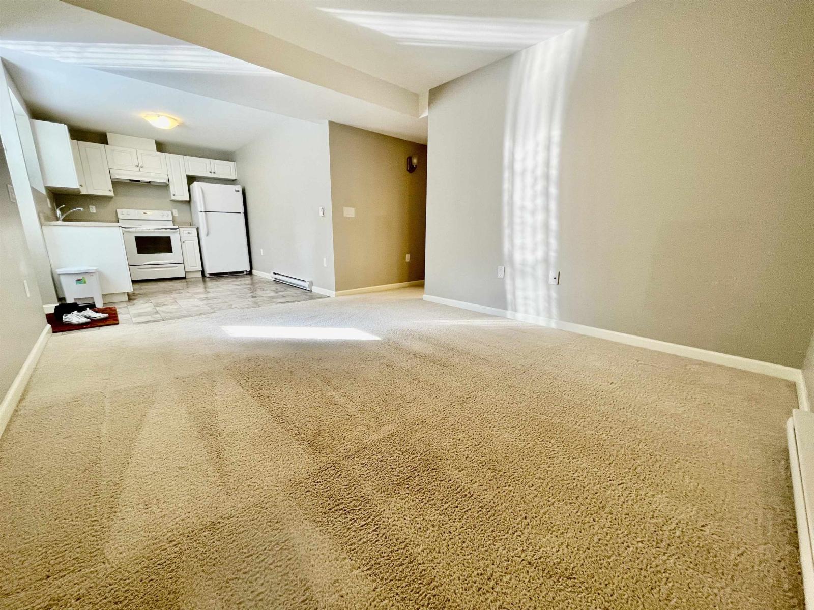 Basement 790x 211b Street, Langley, British Columbia V2Y 0H3 - Photo 1 - R3099176