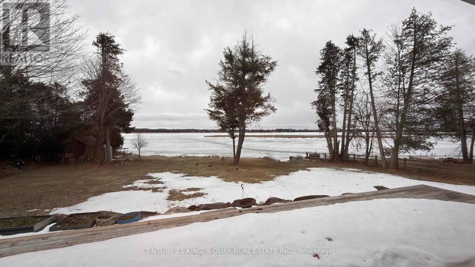 143 Wispi Shore Road, Kawartha Lakes, Ontario  K9V 0K4 - Photo 21 - X12927822