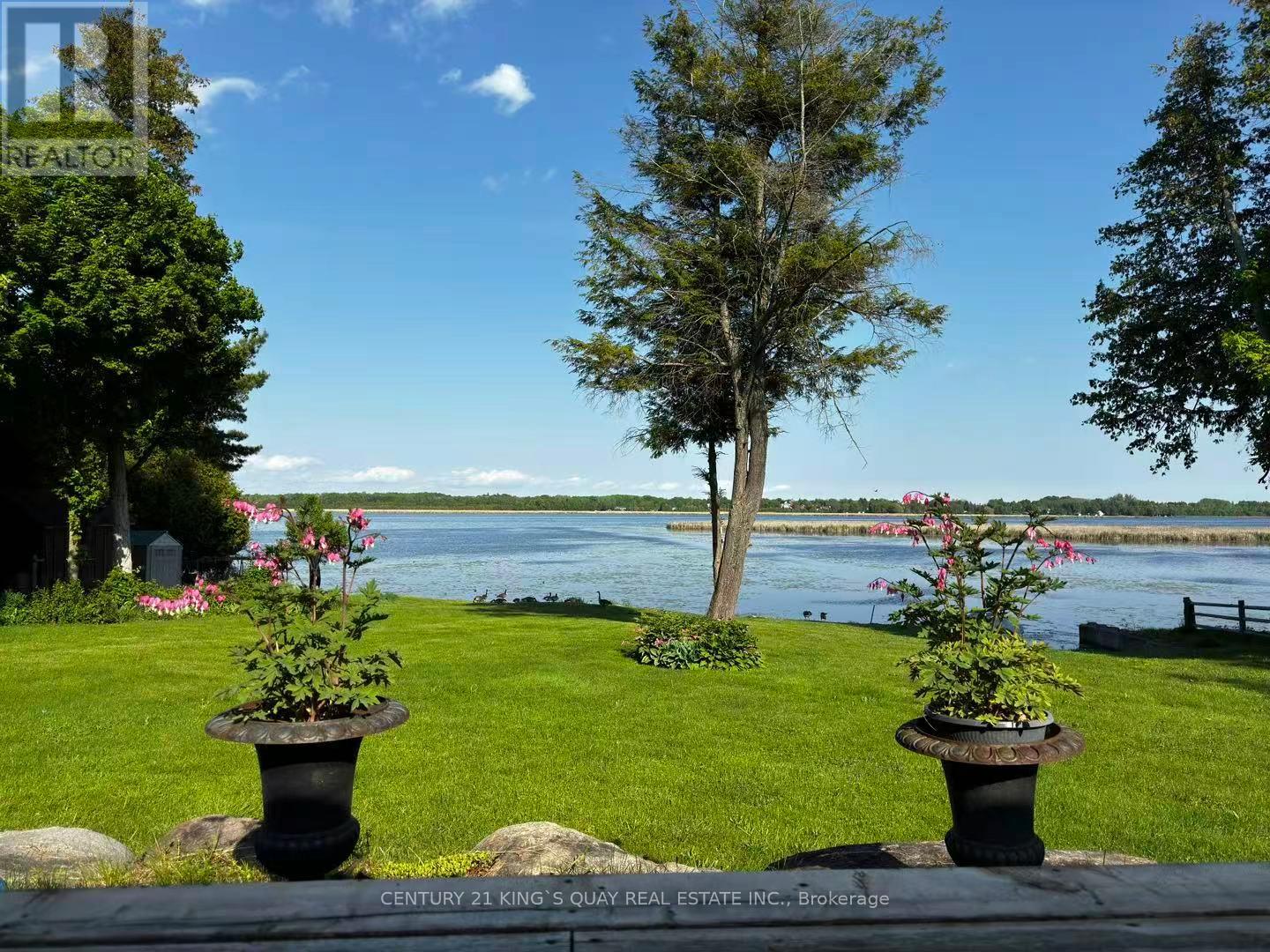 143 Wispi Shore Road, Kawartha Lakes, Ontario  K9V 0K4 - Photo 4 - X12927822