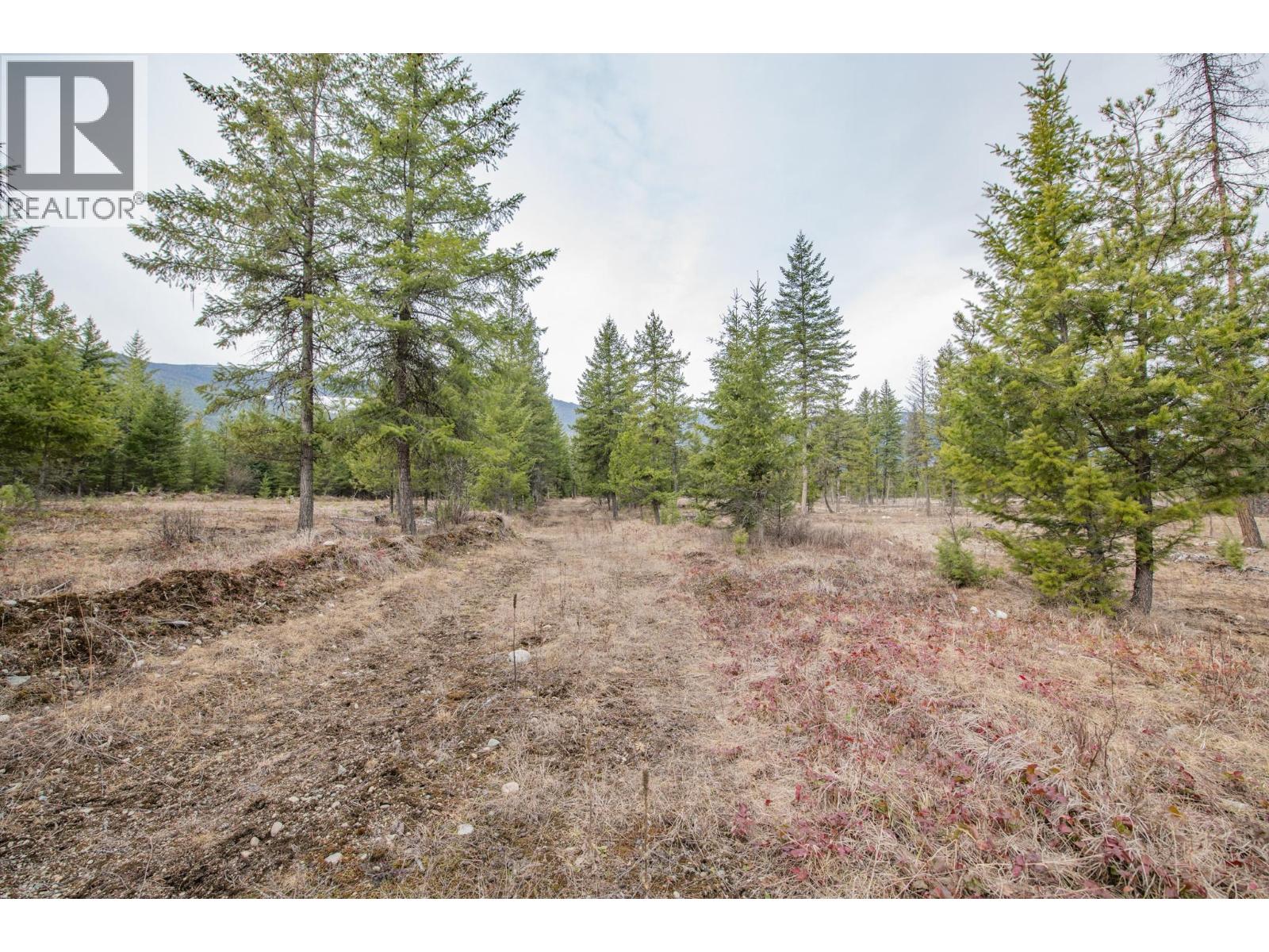 183 Calder Road, Edgewood, British Columbia  V0G 1J0 - Photo 23 - 10374108