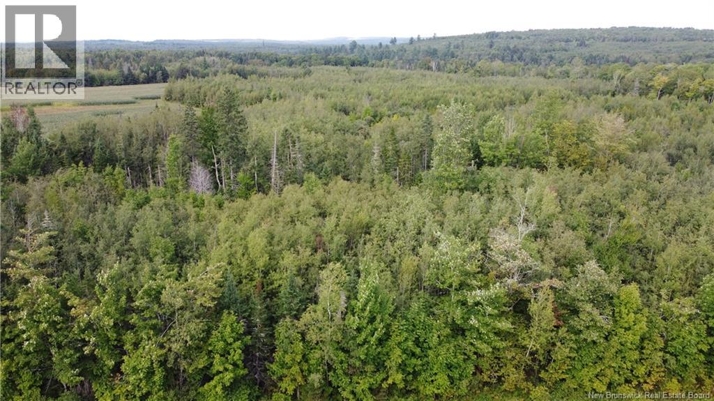 Lot Watson Settlement Road, Belleville, New Brunswick  E7M 5W6 - Photo 9 - NB135824