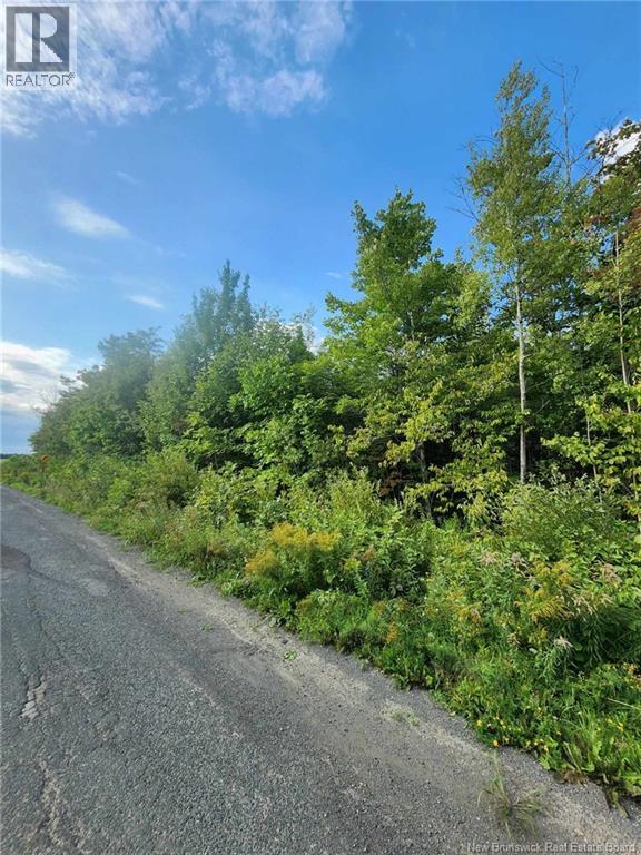 Lot Watson Settlement Road, Belleville, New Brunswick  E7M 5W6 - Photo 2 - NB135824