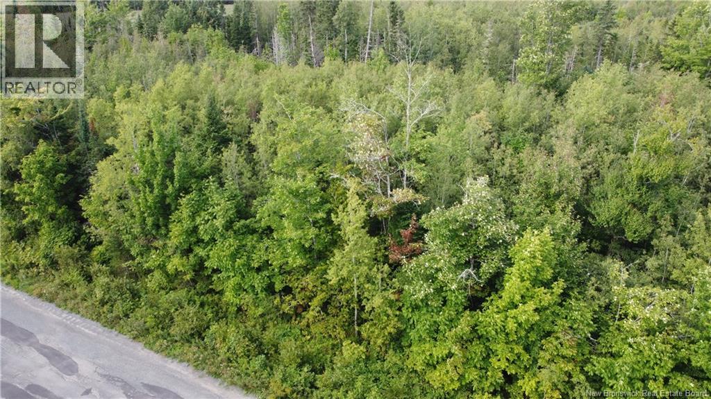 Lot Watson Settlement Road, Belleville, New Brunswick  E7M 5W6 - Photo 8 - NB135824
