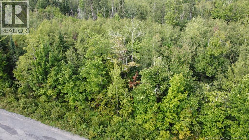Lot Watson Settlement Road, Belleville, New Brunswick  E7M 5W6 - Photo 3 - NB135824