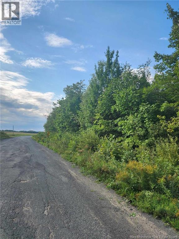 Lot Watson Settlement Road, Belleville, New Brunswick  E7M 5W6 - Photo 10 - NB135824
