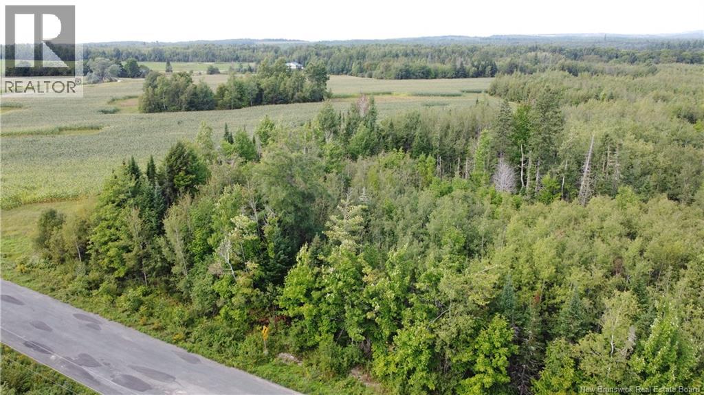Lot Watson Settlement Road, Belleville, New Brunswick  E7M 5W6 - Photo 1 - NB135824