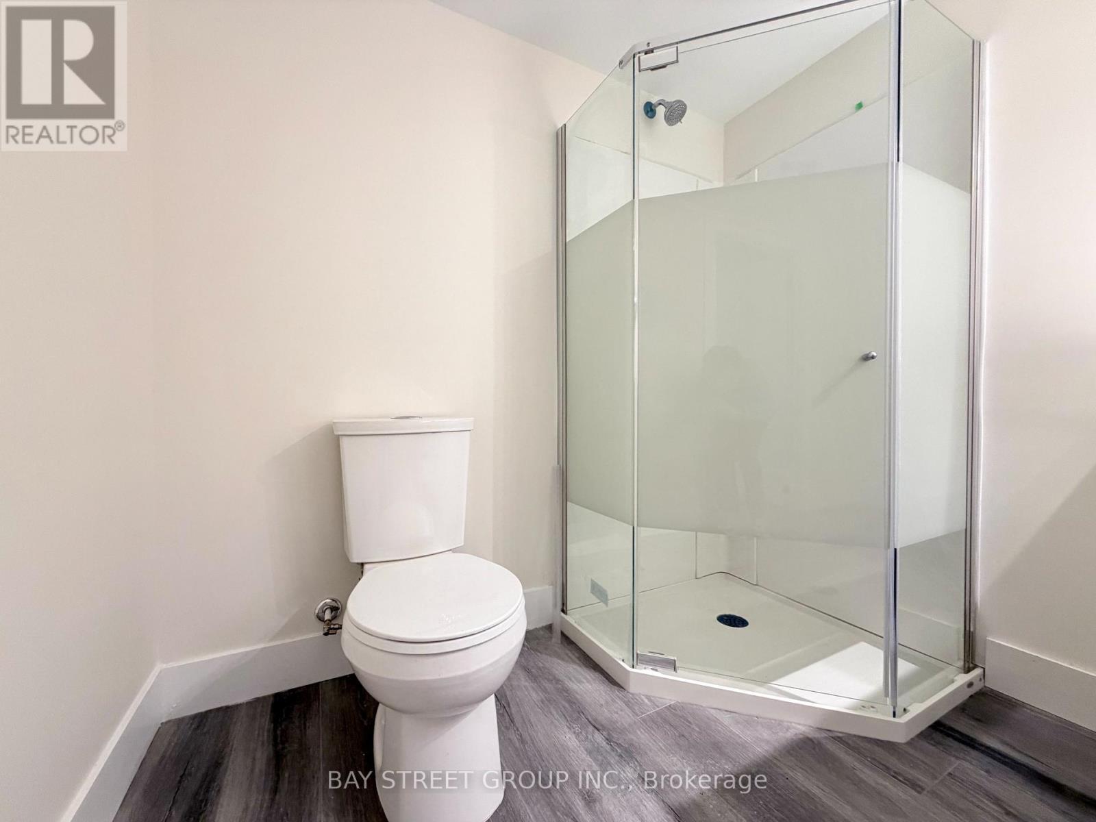 Lower - 1 Kenneth Ross Bend, East Gwillimbury, Ontario L9N 0T7 - Photo 14 - N12931554