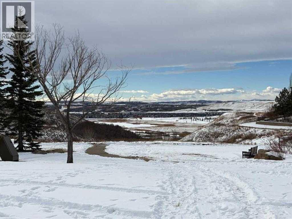 38 Cranford Drive SE, Calgary, Alberta  T3M 0V9 - Photo 48 - A2289364