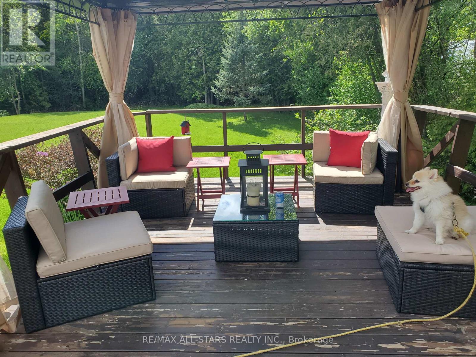 26576 Park Road, Georgina, Ontario  L0E 1R0 - Photo 21 - N12931614