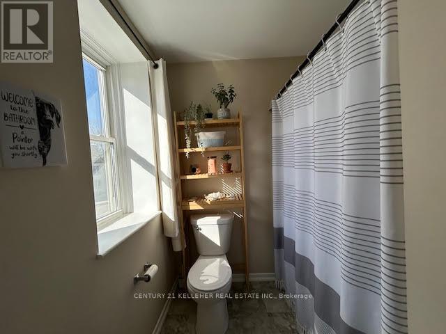 45 King Street, Halton Hills, Ontario  L7G 2G3 - Photo 9 - W12931670